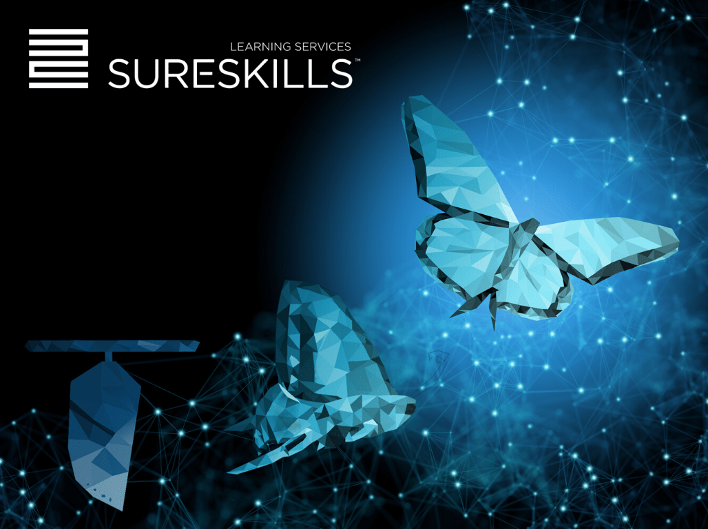 Foundations Of A Successful Learning Experience - 8K Dark Photos for Desktop